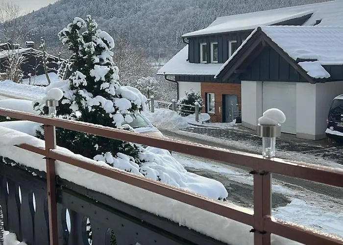 Gemuetlicher In Niedersfeld Bei Winterberg, Kostenloses Wlan Apartman *