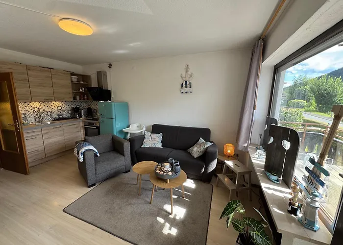 Apartman Gemuetlicher In Niedersfeld Bei Winterberg, Kostenloses Wlan *